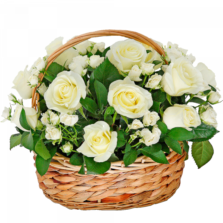 Букет из белых роз кустовых в корзине «Белые сны»